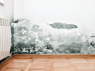 black mold on a wall in a room
